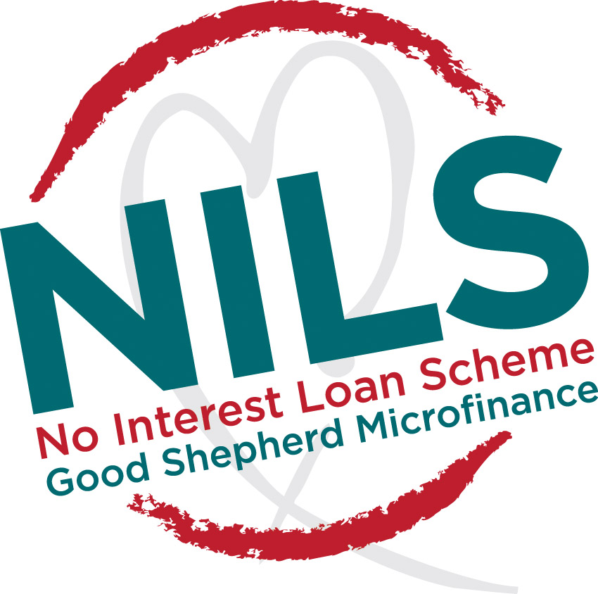 NILS Logo